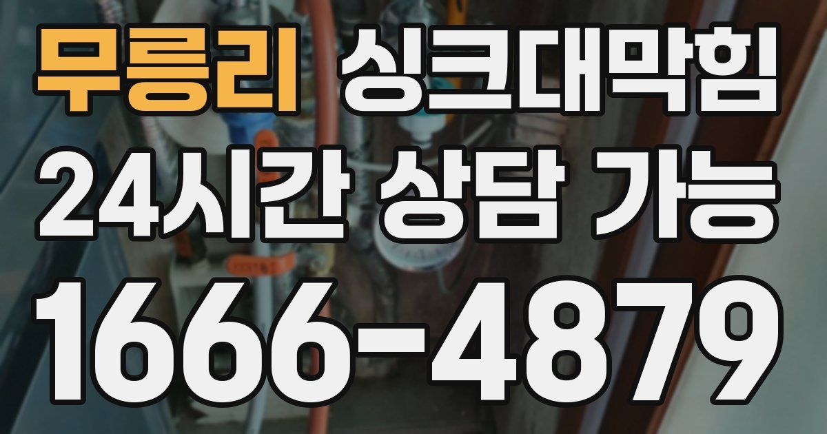 무릉리 싱크대 뚫기