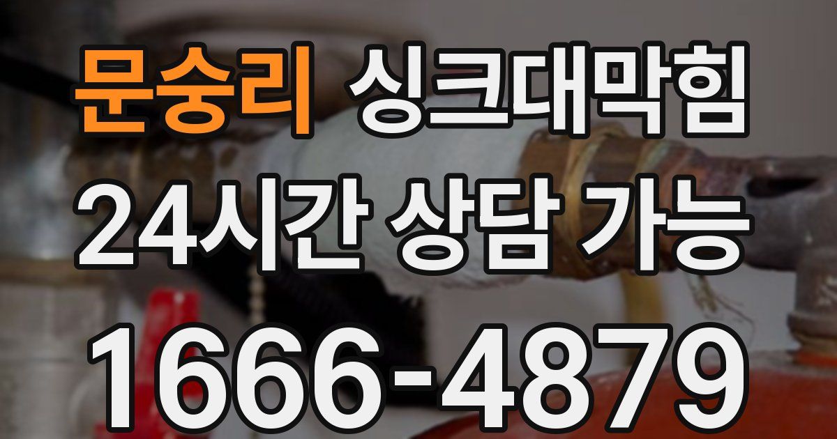 문숭리 싱크대 뚫기