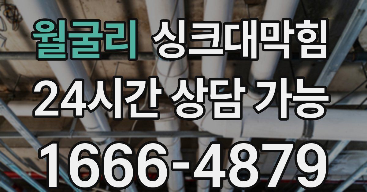 월굴리 싱크대 뚫기