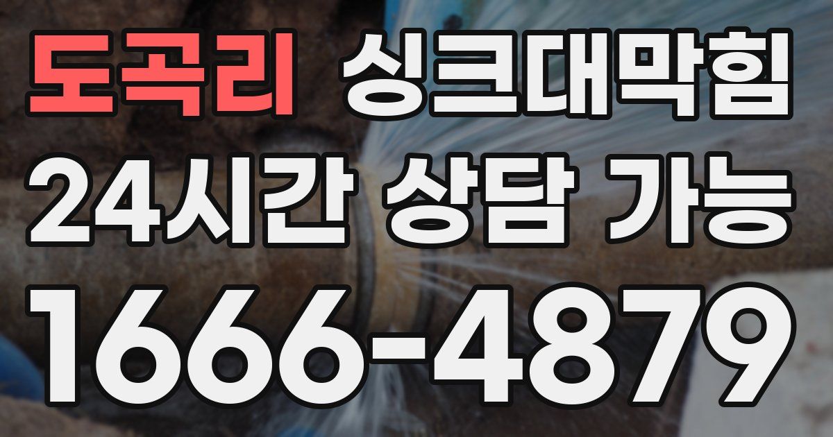 도곡리 싱크대 뚫기