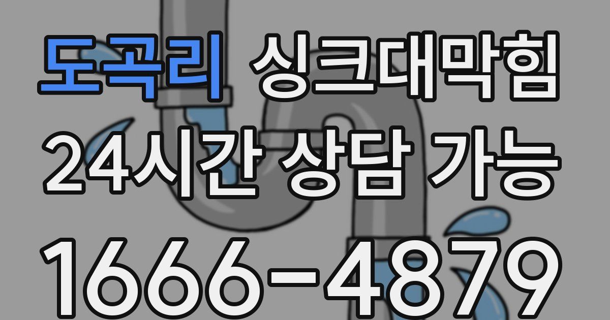 도곡리 싱크대 뚫기