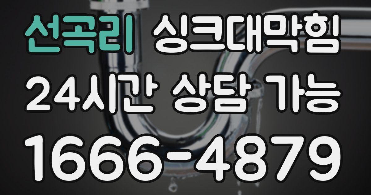 선곡리 싱크대 뚫기