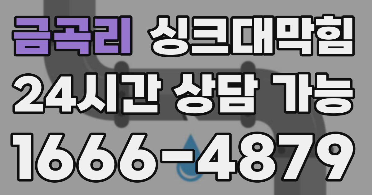 금곡리 싱크대 뚫기