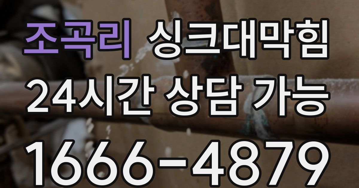 조곡리 싱크대 뚫기