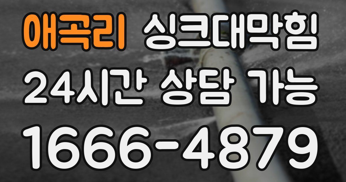 애곡리 싱크대 뚫기