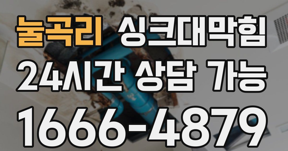 눌곡리 싱크대 뚫기