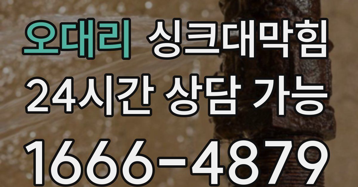 오대리 싱크대 뚫기