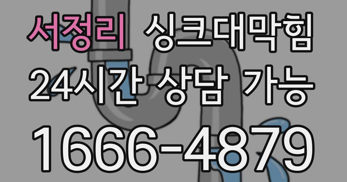 서정리 싱크대 뚫기