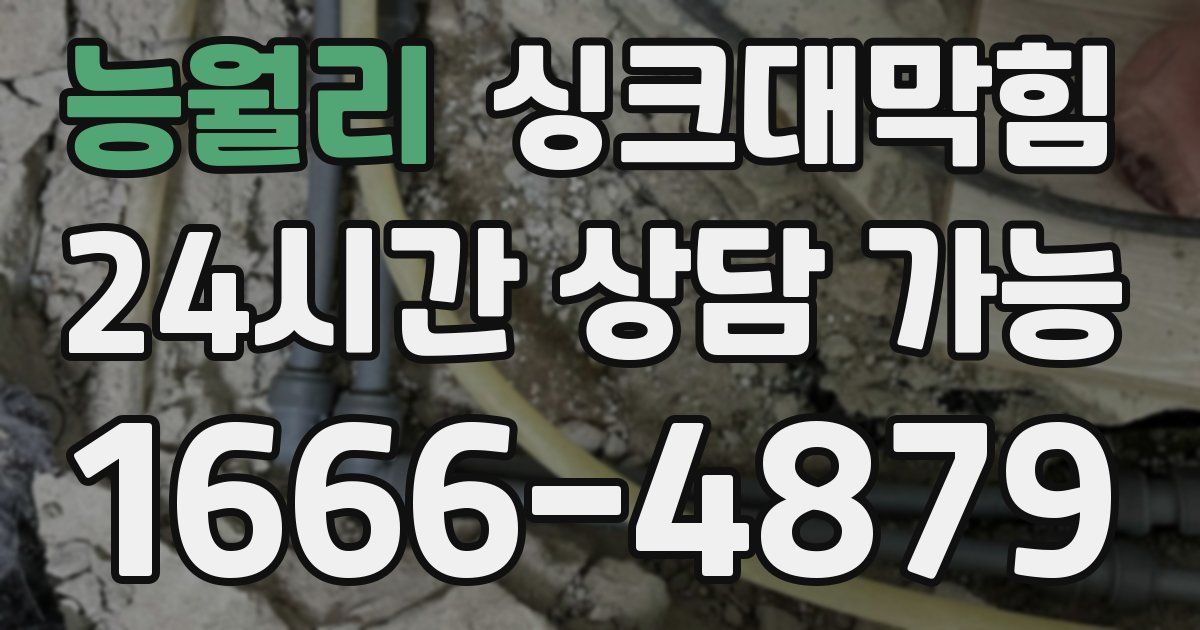 능월리 싱크대 뚫기