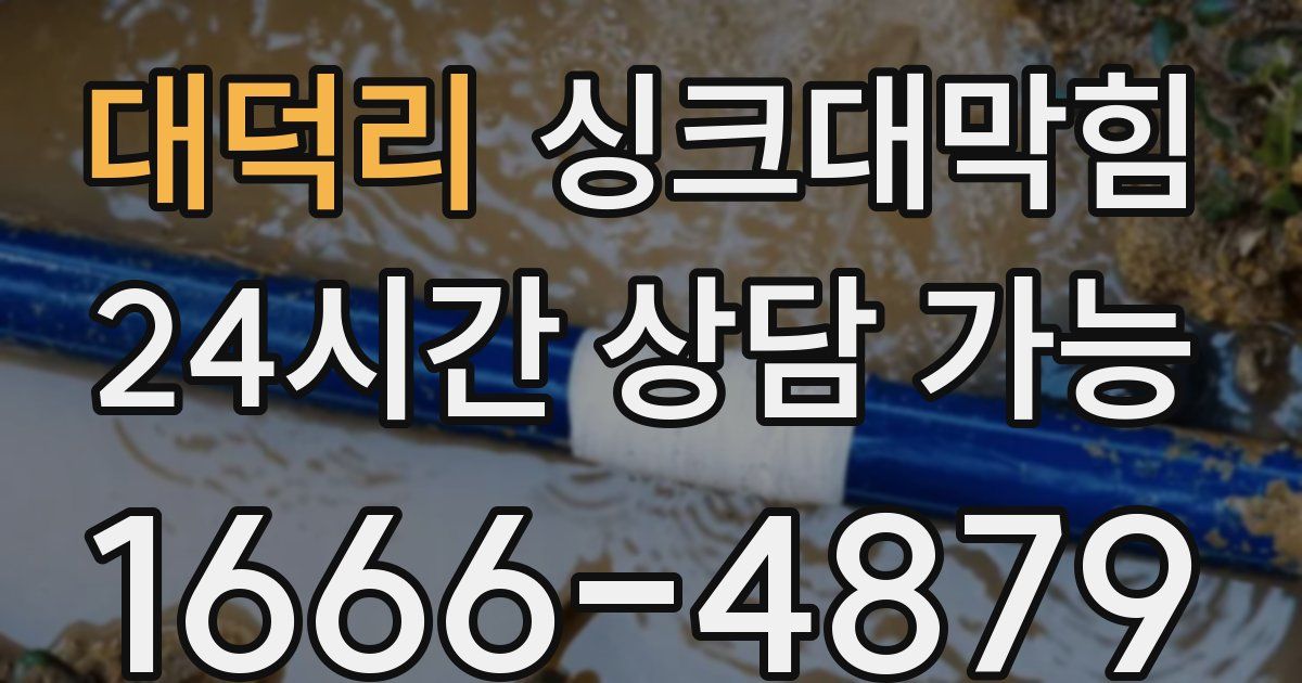 대덕리 싱크대 뚫기