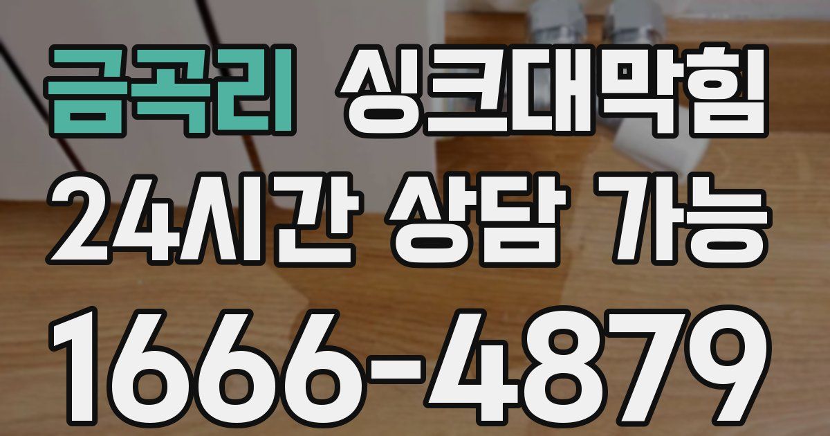 금곡리 싱크대 뚫기