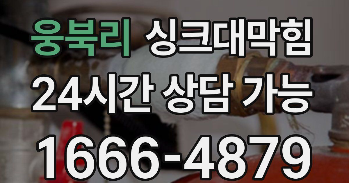 웅북리 싱크대 뚫기