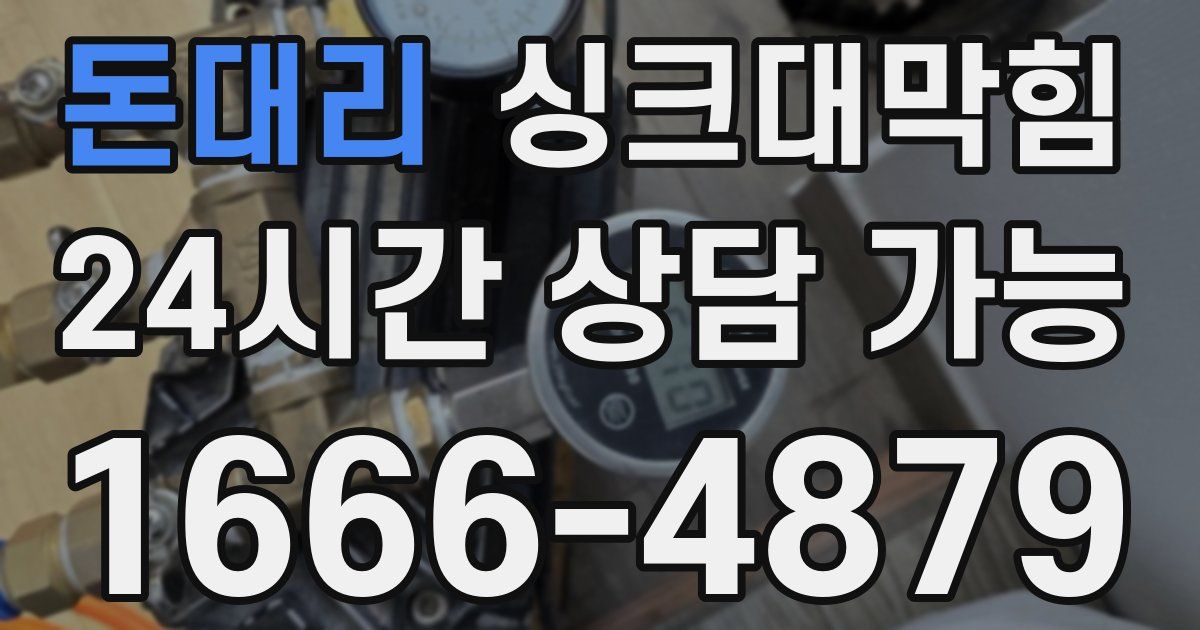 돈대리 싱크대 뚫기