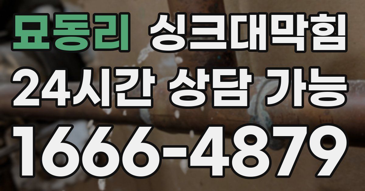 묘동리 싱크대 뚫기