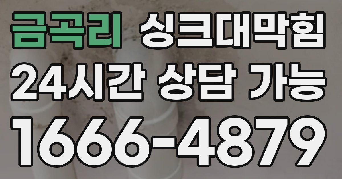 금곡리 싱크대 뚫기