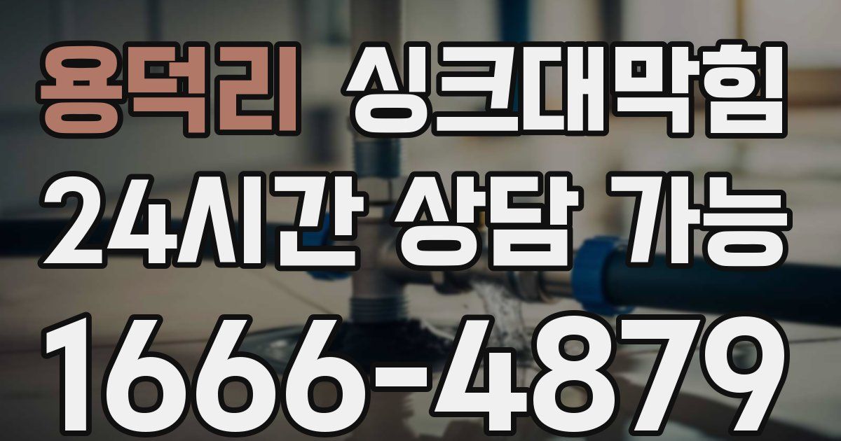 용덕리 싱크대 뚫기