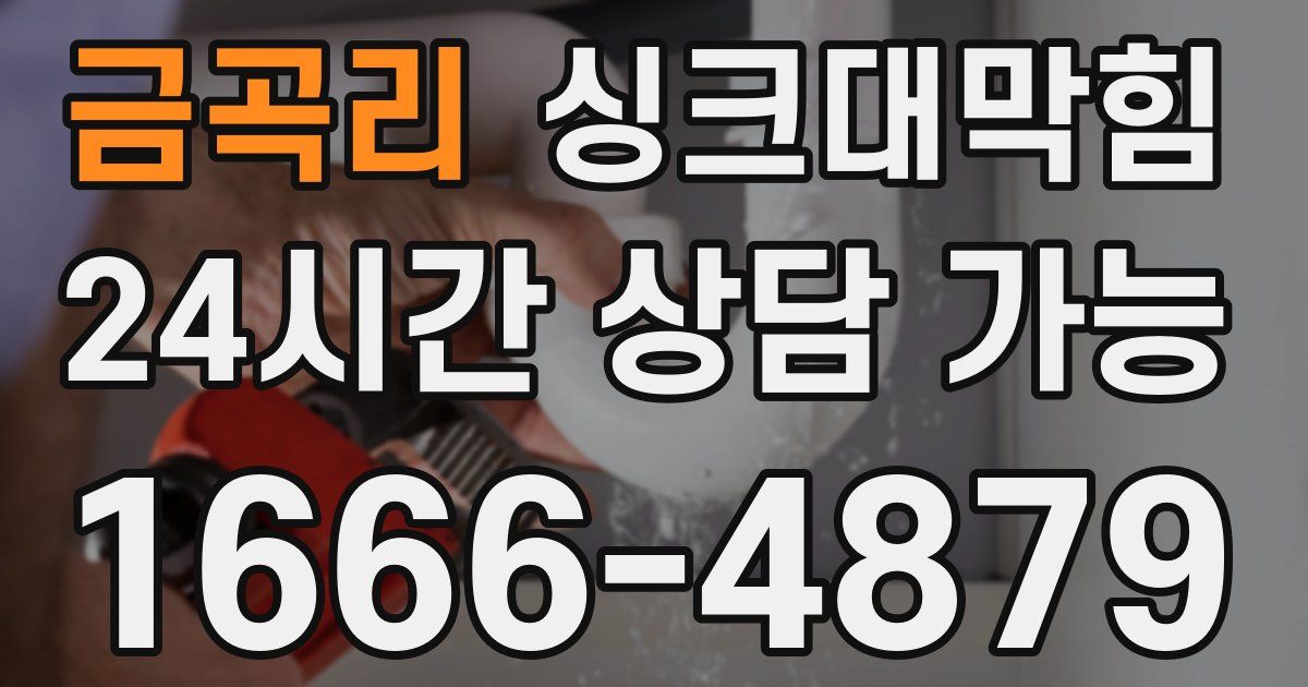 금곡리 싱크대 뚫기