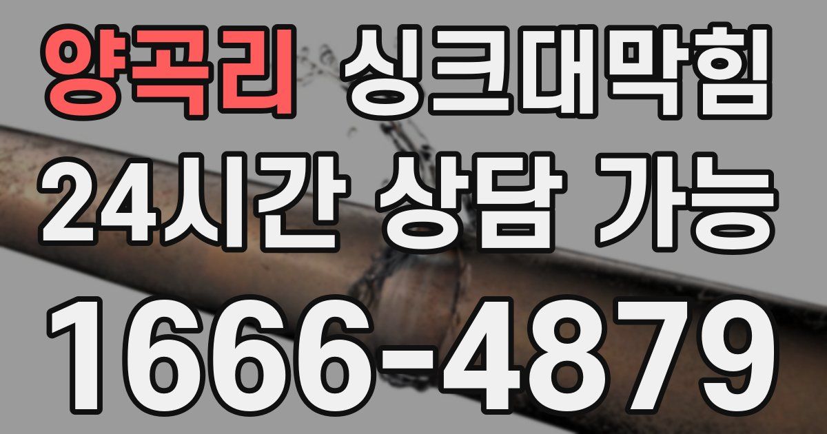 양곡리 싱크대 뚫기
