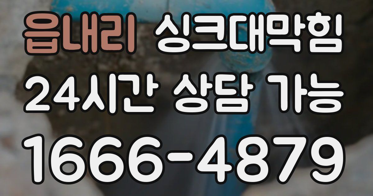 읍내리 싱크대 뚫기