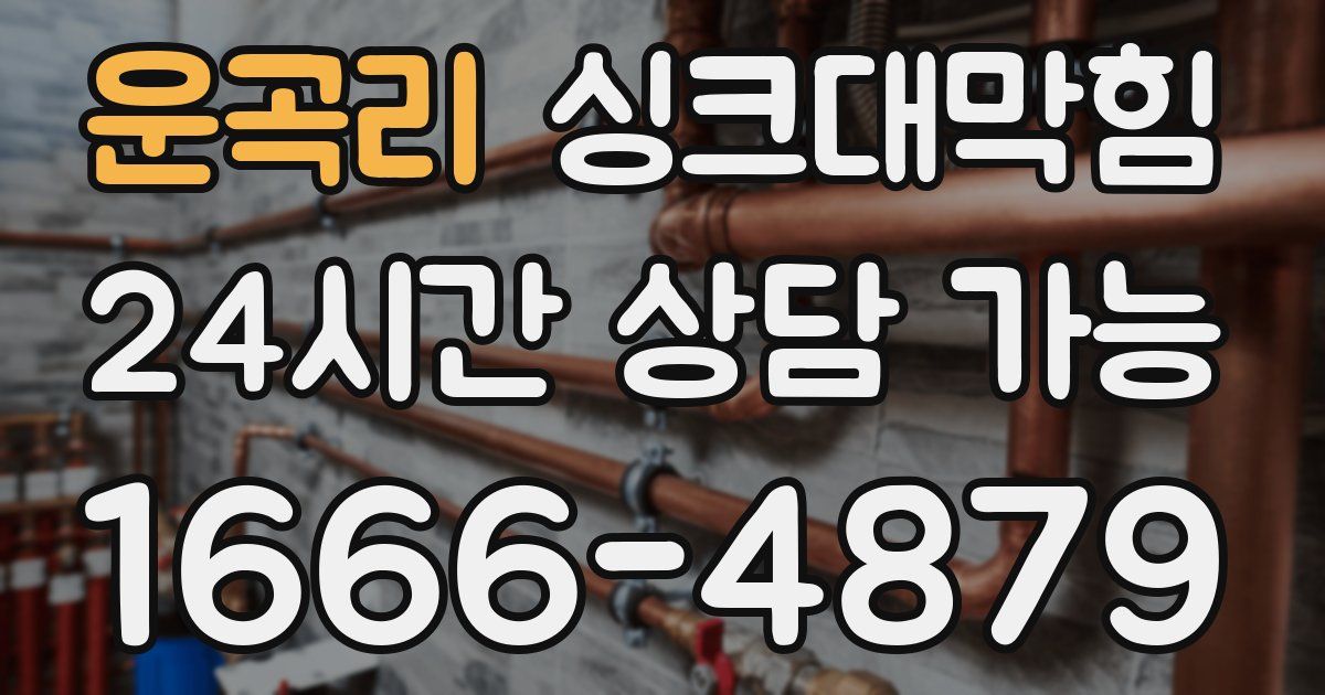 운곡리 싱크대 뚫기