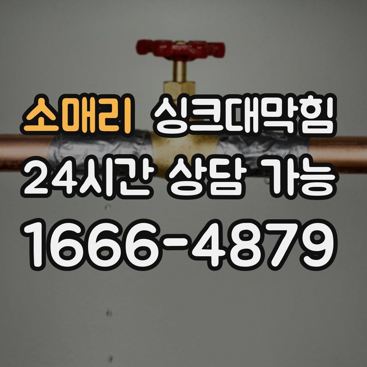 소매리 싱크대막힘