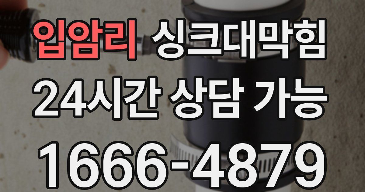 입암리 싱크대 뚫기