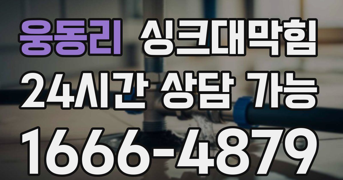 웅동리 싱크대 뚫기