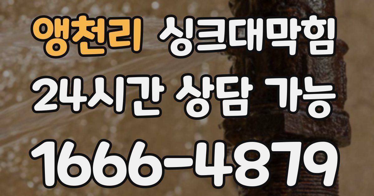 앵천리 싱크대 뚫기