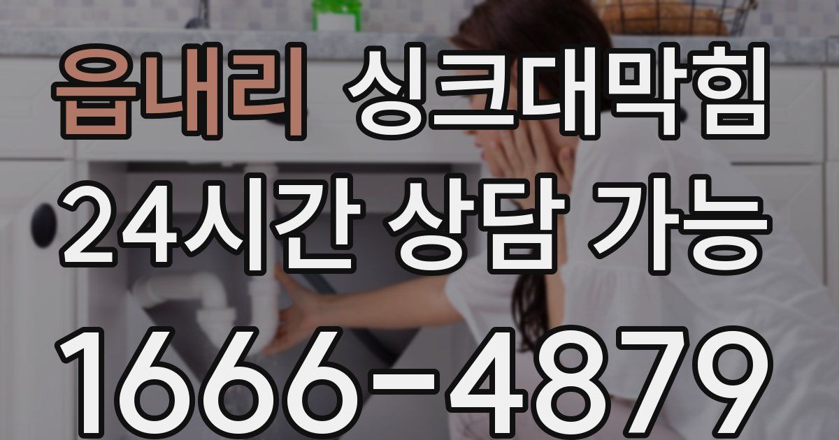 읍내리 싱크대 뚫기