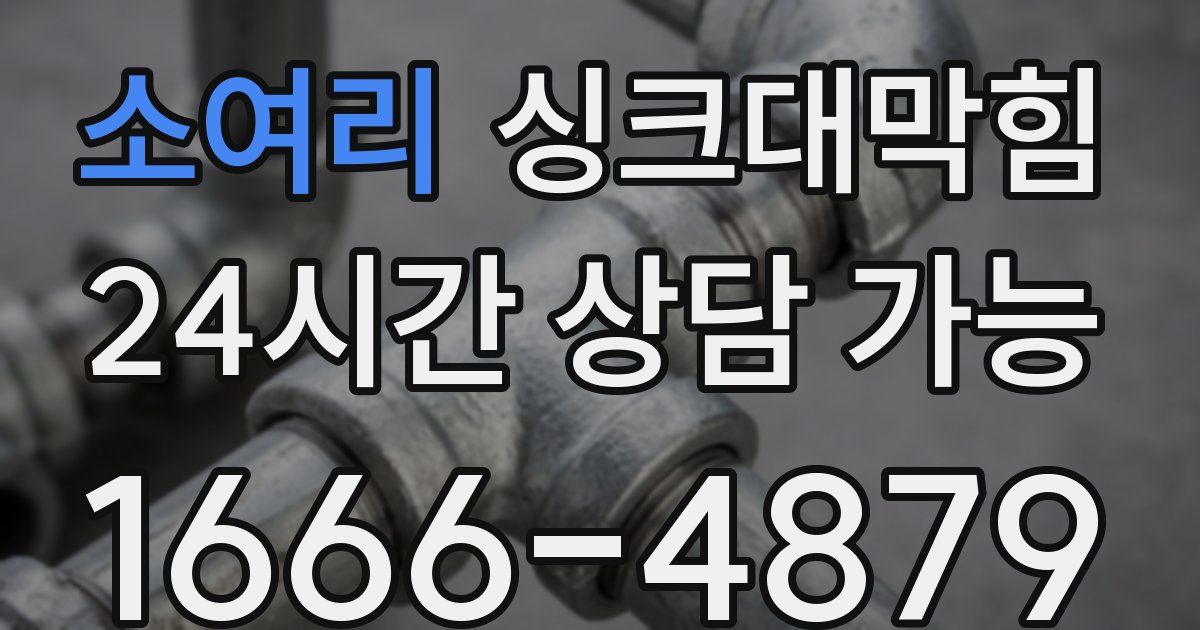 소여리 싱크대 뚫기