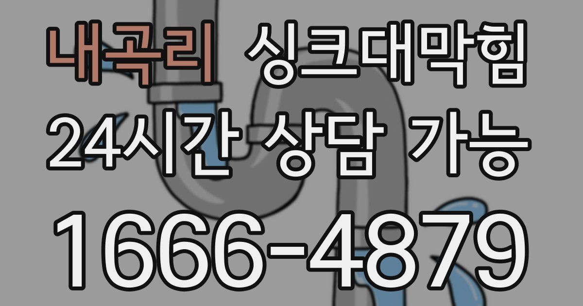 내곡리 싱크대 뚫기