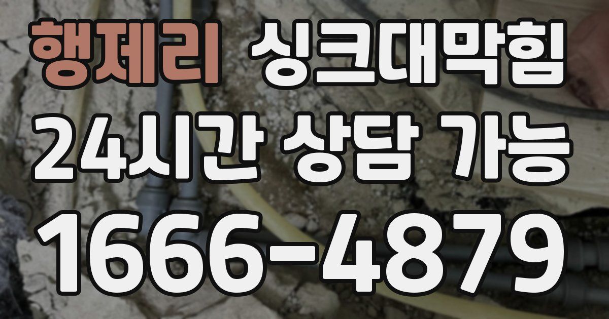 행제리 싱크대 뚫기