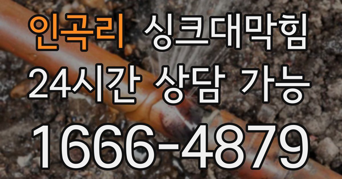 인곡리 싱크대 뚫기