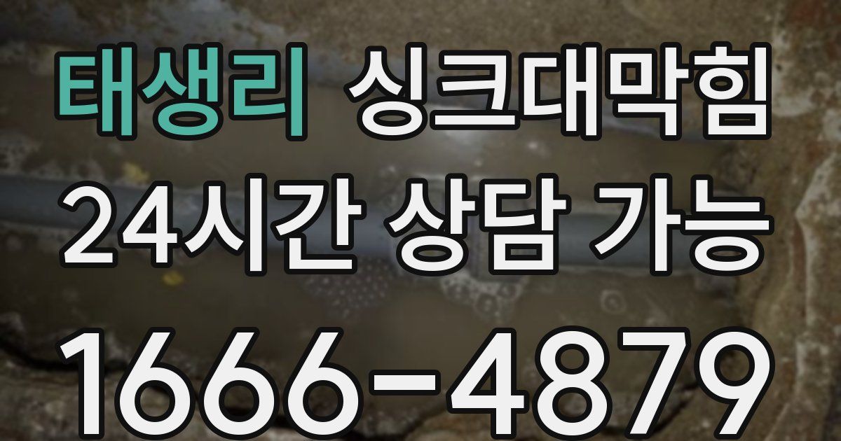 태생리 싱크대 뚫기