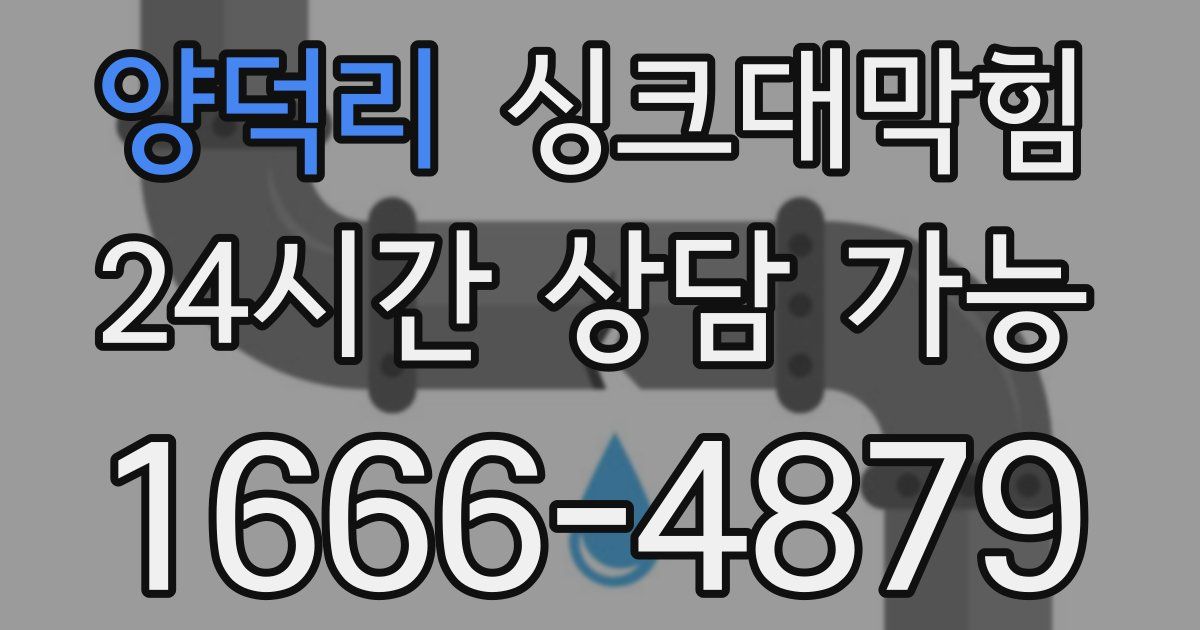 양덕리 싱크대 뚫기