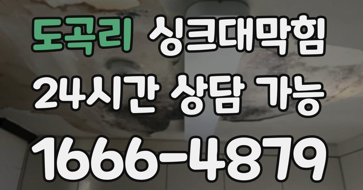 도곡리 싱크대 뚫기