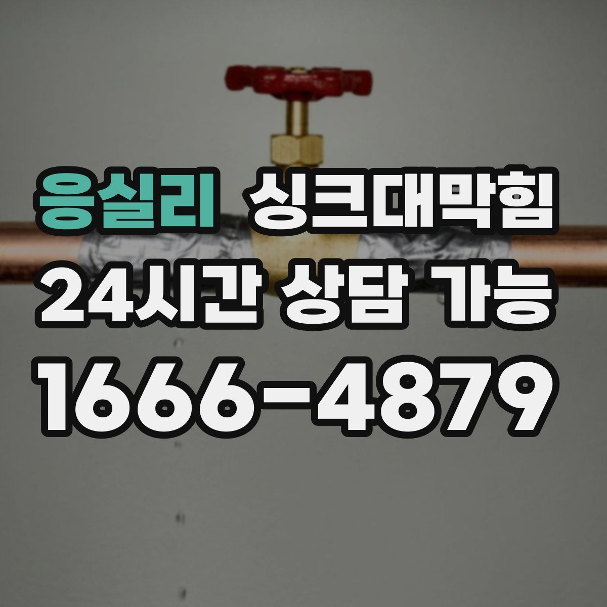 응실리 싱크대막힘