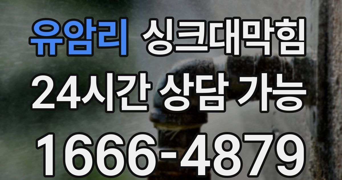 유암리 싱크대 뚫기