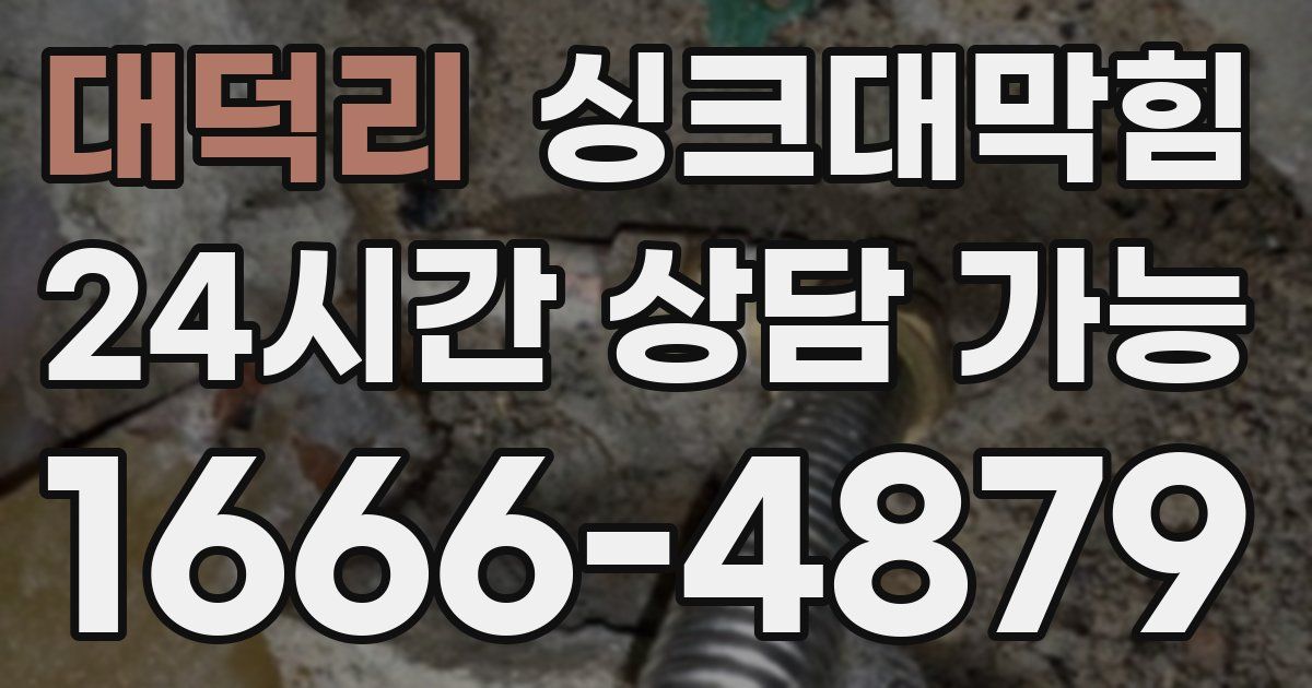 대덕리 싱크대 뚫기