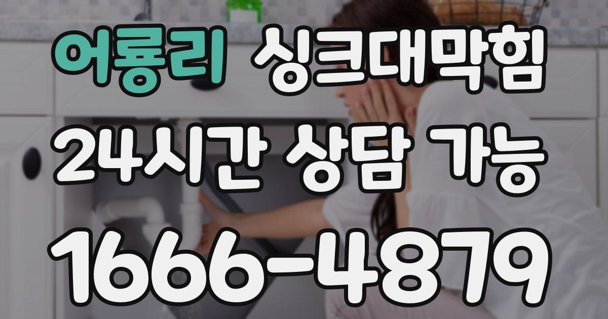 어룡리 싱크대 뚫기