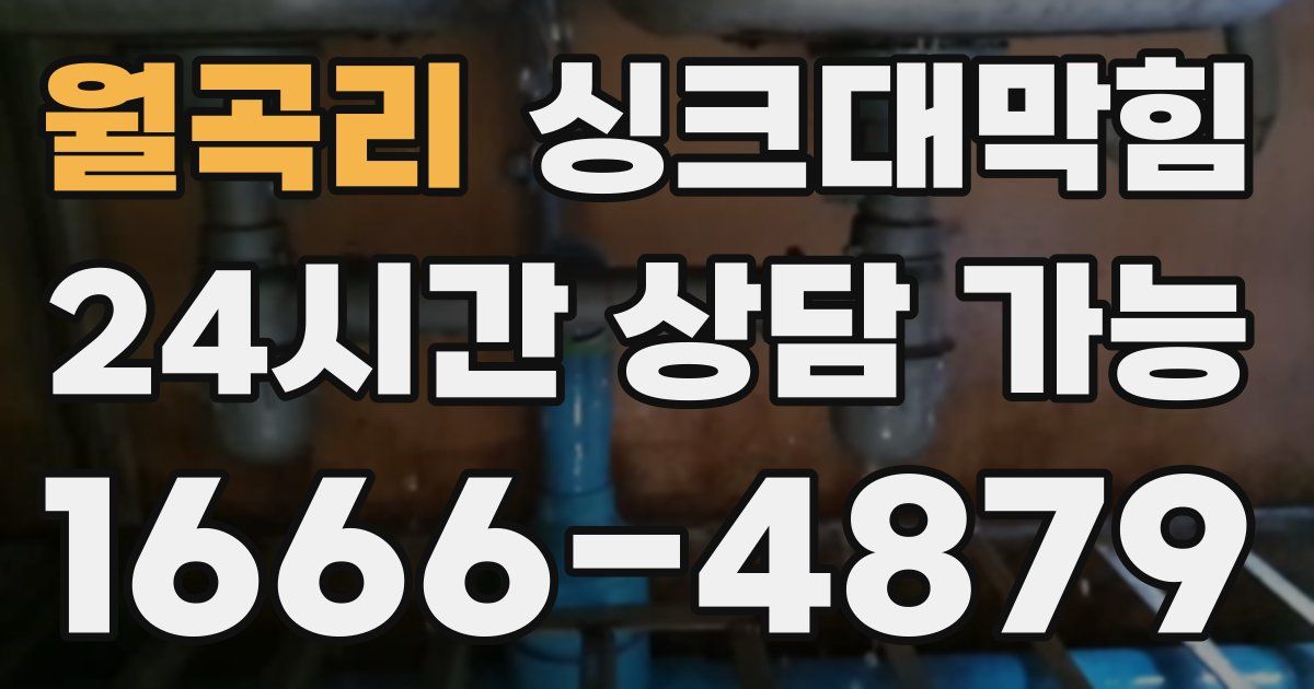 월곡리 싱크대 뚫기