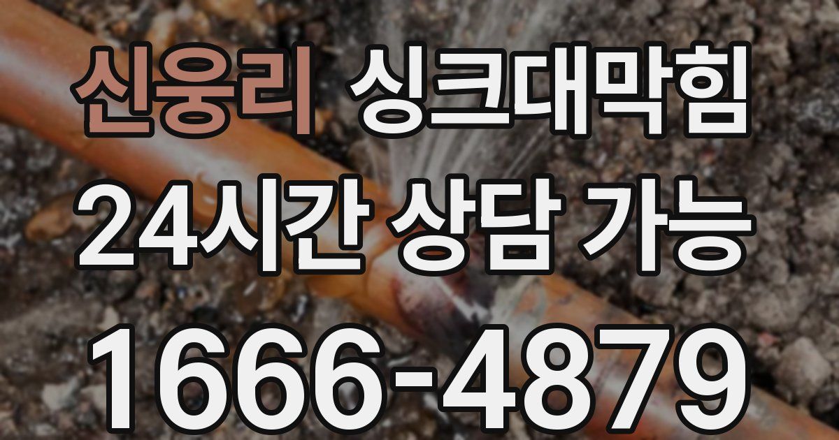 신웅리 싱크대 뚫기