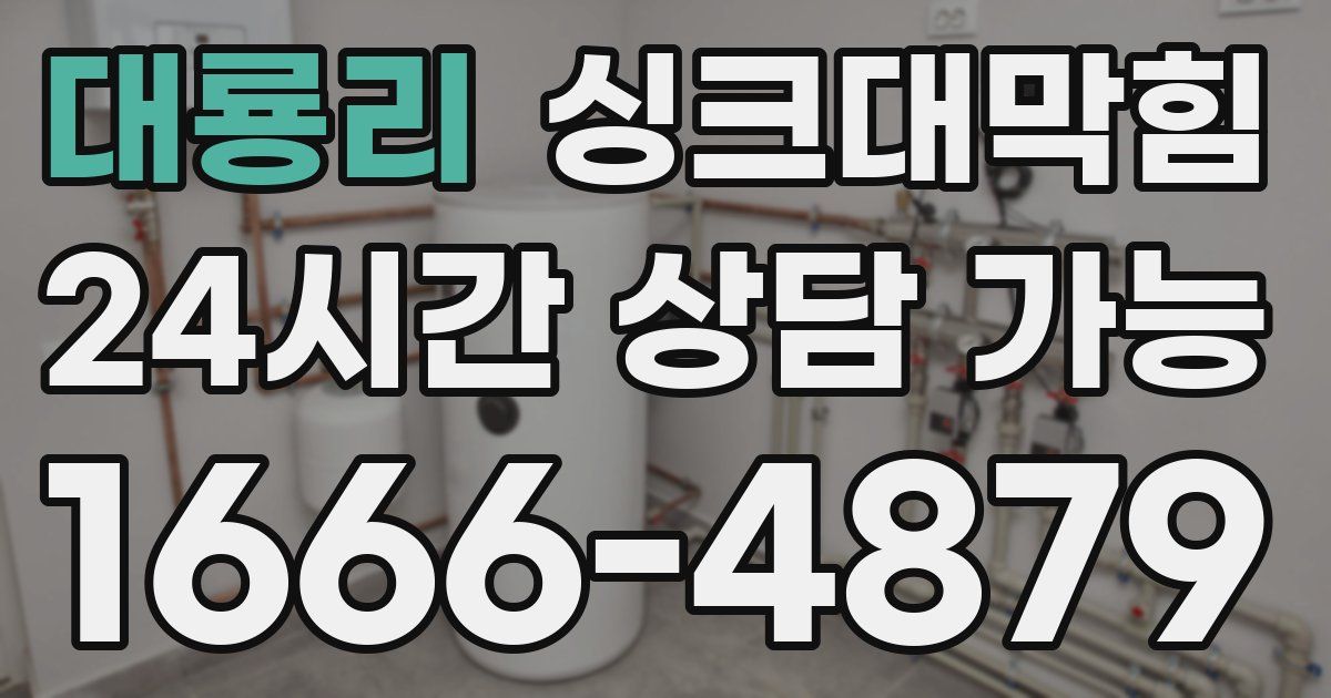 대룡리 싱크대 뚫기