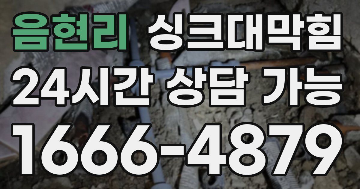 음현리 싱크대 뚫기