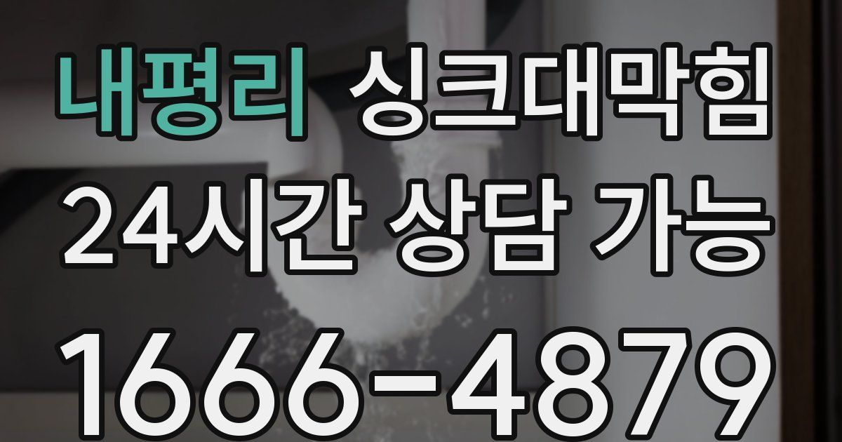 내평리 싱크대 뚫기
