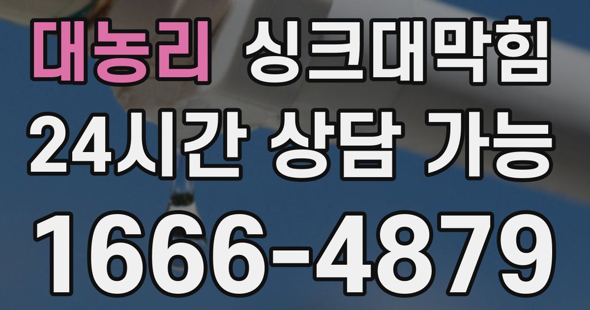 대농리 싱크대 뚫기