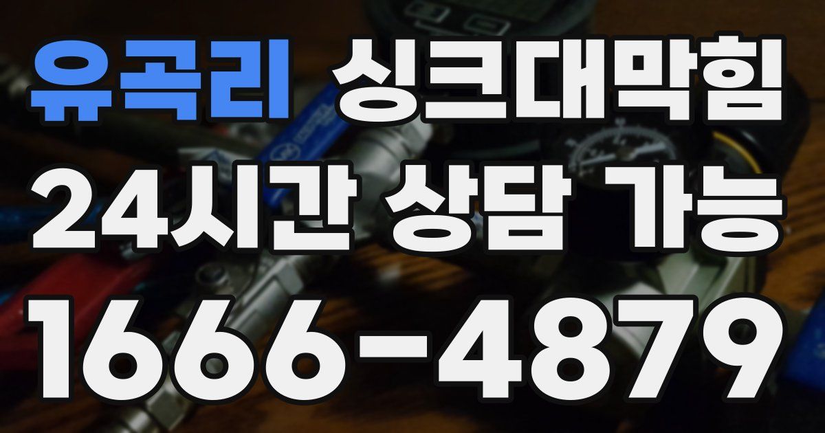 유곡리 싱크대 뚫기