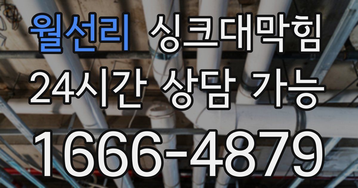 월선리 싱크대 뚫기
