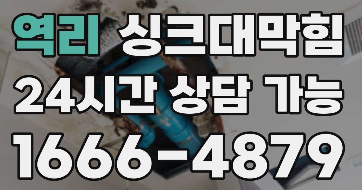 역리 싱크대 뚫기