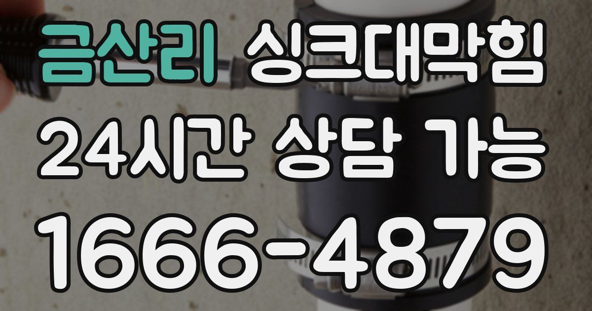 금산리 싱크대 뚫기